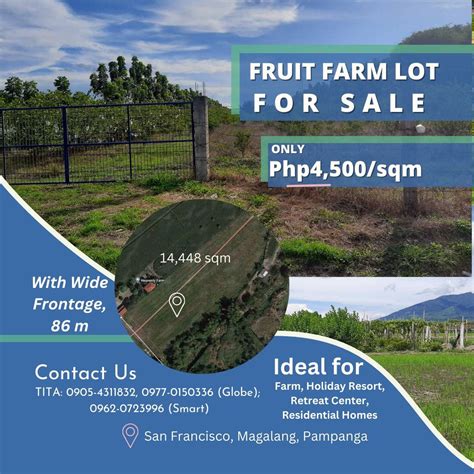 Residential Lot For Sale in Pampanga .